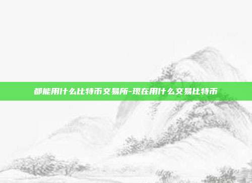 都能用什么比特币交易所-现在用什么交易比特币