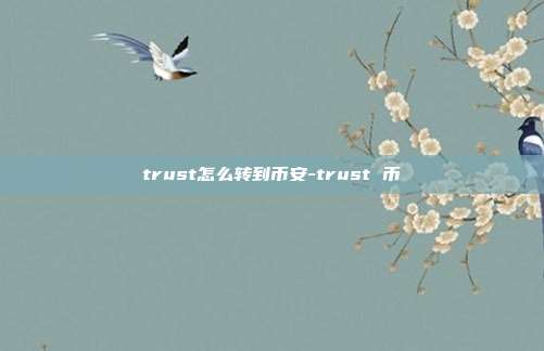 trust怎么转到币安-trust 币