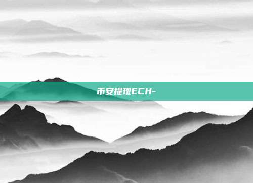 币安提现ECH-