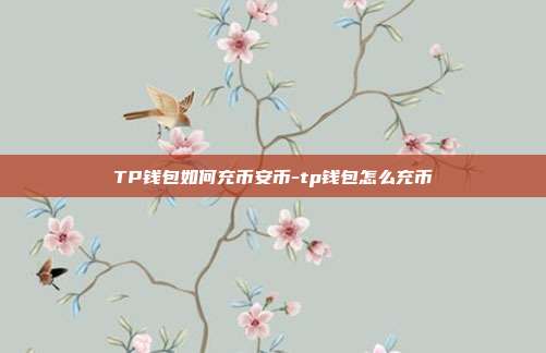 TP钱包如何充币安币-tp钱包怎么充币