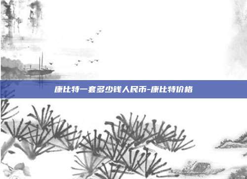 康比特一套多少钱人民币-康比特价格