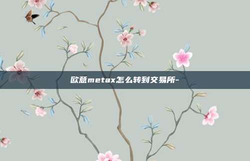 欧意metax怎么转到交易所-