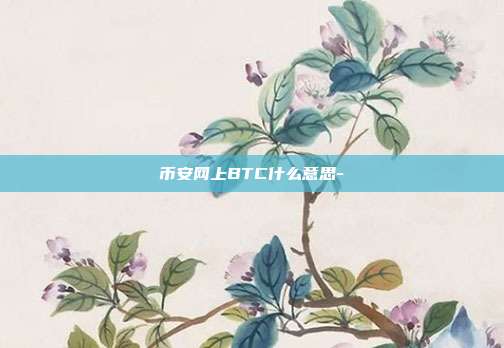 币安网上BTC什么意思-