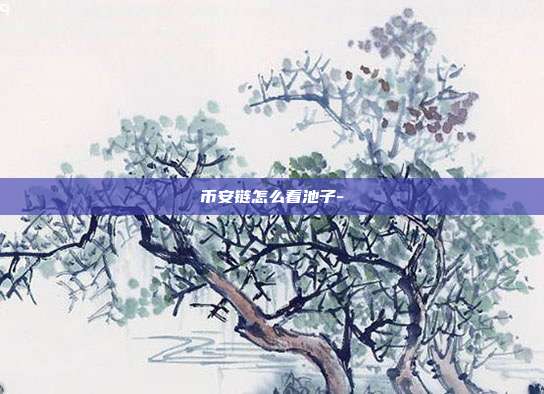 币安链怎么看池子-