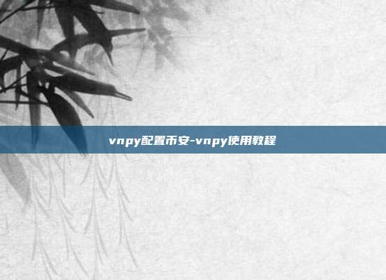 vnpy配置币安-vnpy使用教程