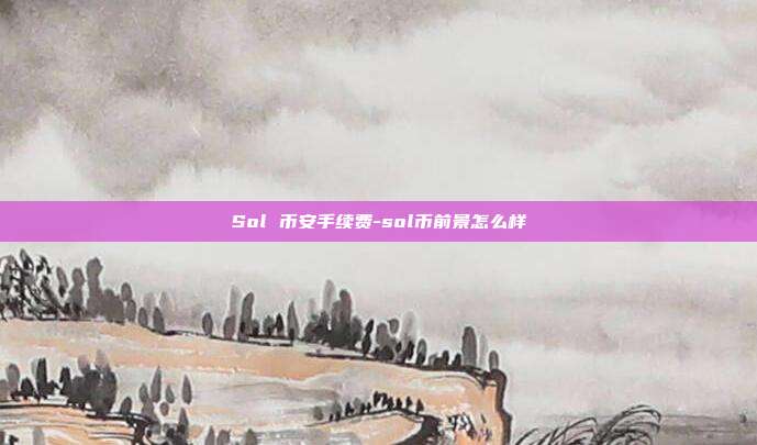 Sol 币安手续费-sol币前景怎么样