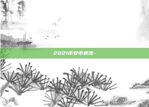 2021币安币疯涨-