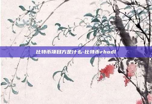 比特币项目方是什么-比特币rhodl