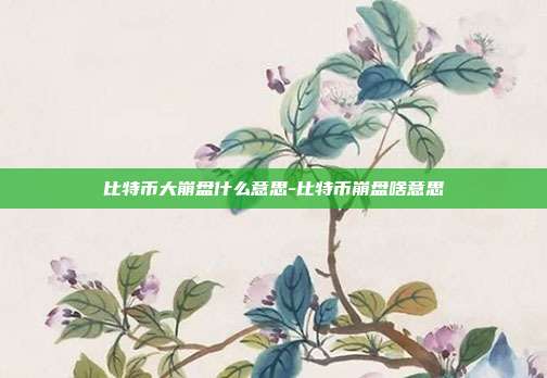 比特币大崩盘什么意思-比特币崩盘啥意思