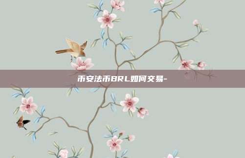 币安法币BRL如何交易-