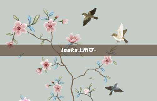 looks上币安-