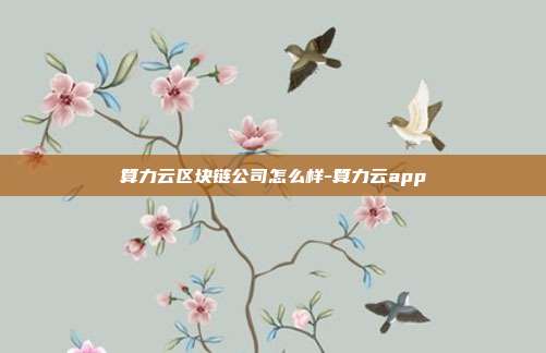 算力云区块链公司怎么样-算力云app