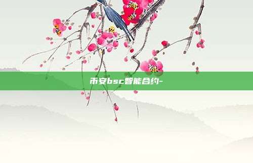 币安bsc智能合约-