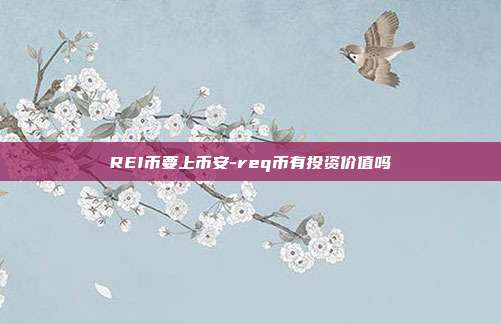 REI币要上币安-req币有投资价值吗