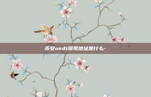 币安usdt提现地址是什么-