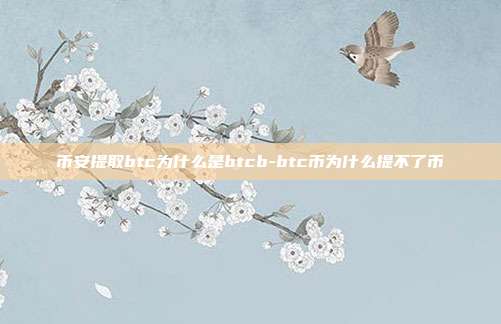 币安提取btc为什么是btcb-btc币为什么提不了币