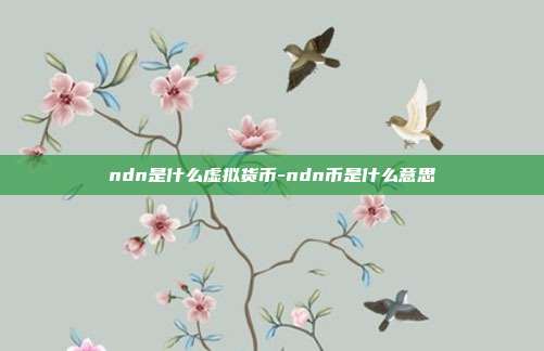 ndn是什么虚拟货币-ndn币是什么意思