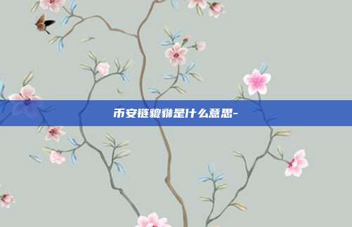 币安链貔貅是什么意思-