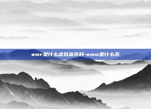 wmr是什么虚拟货币好-wmm是什么币