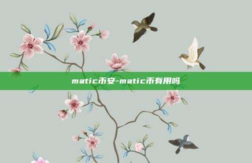 matic币安-matic币有用吗