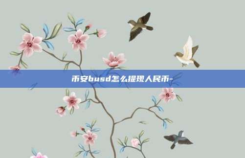 币安busd怎么提现人民币-