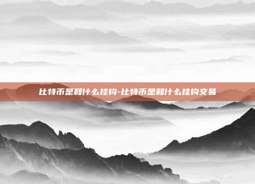 比特币是和什么挂钩-比特币是和什么挂钩交易