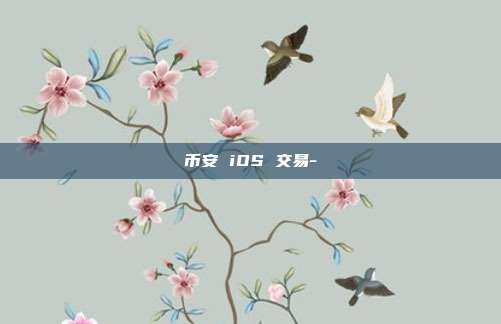 币安 iOS 交易-