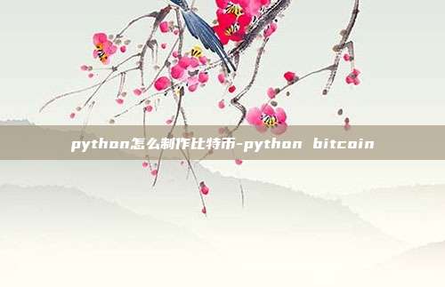 python怎么制作比特币-python bitcoin