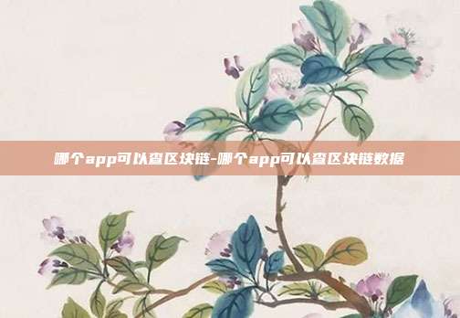 哪个app可以查区块链-哪个app可以查区块链数据