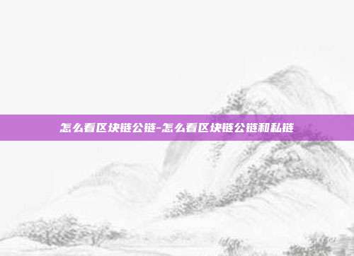 怎么看区块链公链-怎么看区块链公链和私链