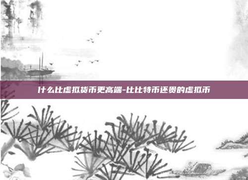 什么比虚拟货币更高端-比比特币还贵的虚拟币