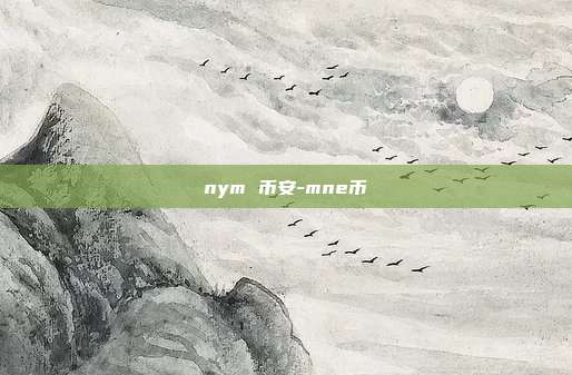 nym 币安-mne币