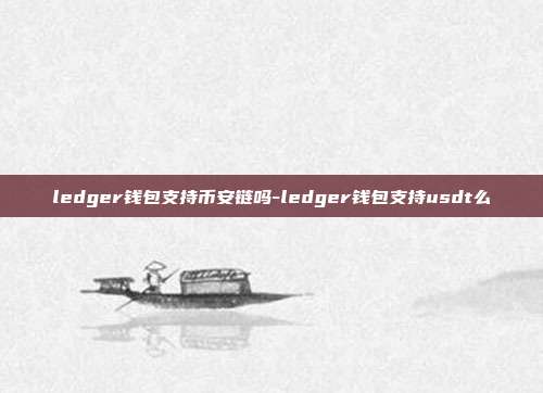 ledger钱包支持币安链吗-ledger钱包支持usdt么