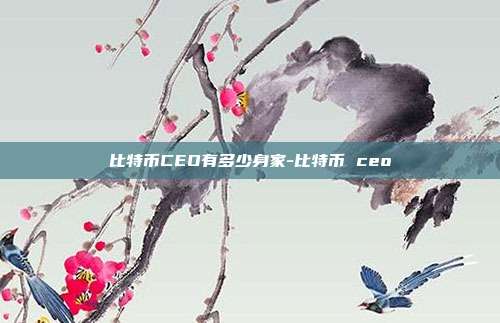 比特币CEO有多少身家-比特币 ceo