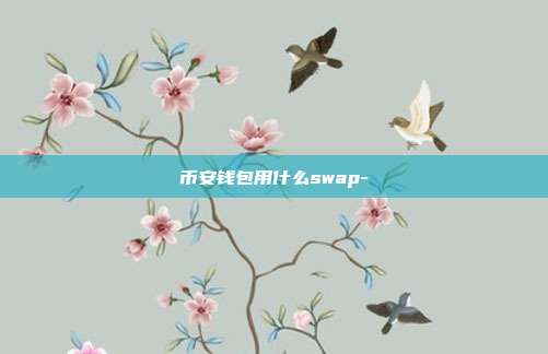 币安钱包用什么swap-