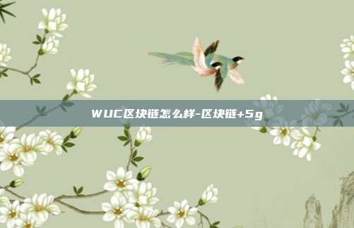 WUC区块链怎么样-区块链+5g