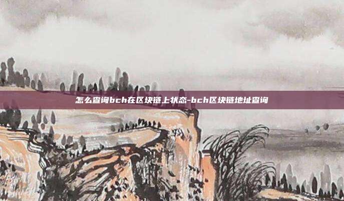 怎么查询bch在区块链上状态-bch区块链地址查询