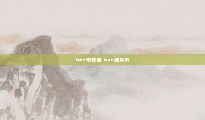 bsc币安链-bsc链买币