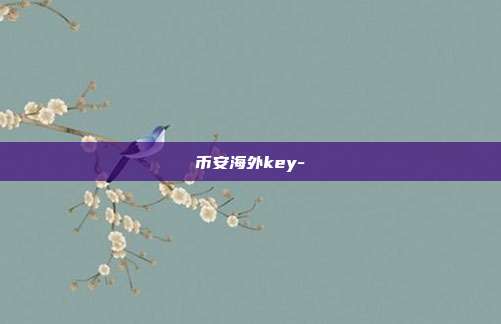 币安海外key-