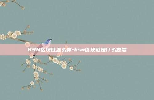 BSN区块链怎么样-bsn区块链是什么意思