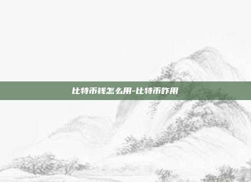 比特币钱怎么用-比特币咋用