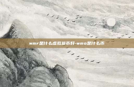 wmr是什么虚拟货币好-wmo是什么币