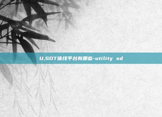 U,SDT体线平台有哪些-utility sd