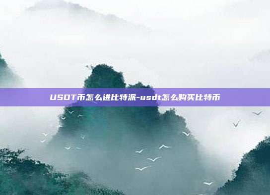 USDT币怎么进比特派-usdt怎么购买比特币