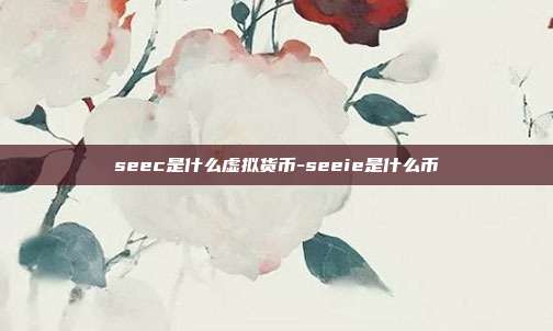 seec是什么虚拟货币-seeie是什么币