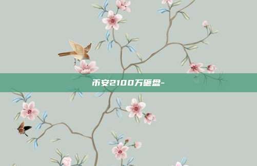 币安2100万砸盘-