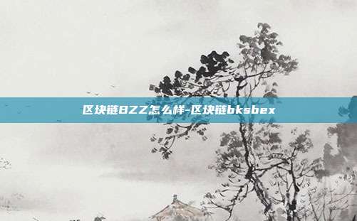 区块链BZZ怎么样-区块链bksbex