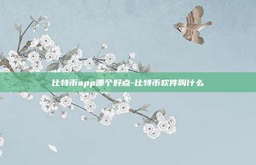 比特币app哪个好点-比特币软件叫什么