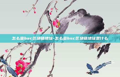 怎么查bsc区块链地址-怎么查bsc区块链地址是什么