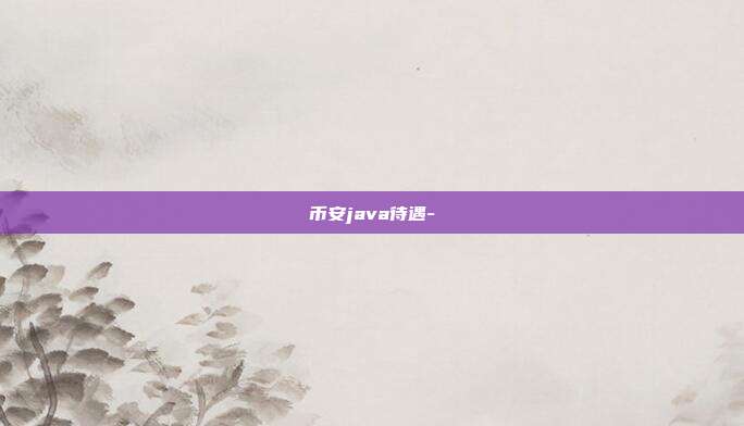 币安java待遇-